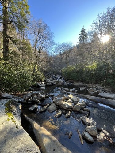 2023 Best 10 Trail Running Trails in Gatlinburg | AllTrails