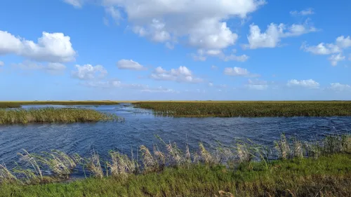 10 Best Trails and Hikes in Fort Lauderdale | AllTrails