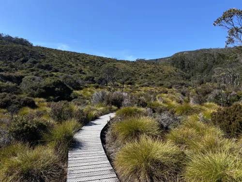 Best 10 Hikes and Trails in Cradle Mountain-Lake St Clair National Park ...