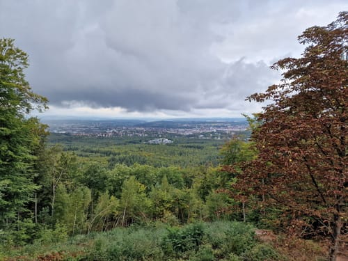 Lämmchesberg - Großer Humberg - Dreiecksstein