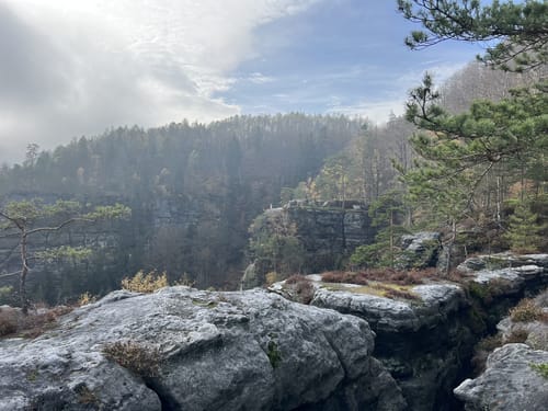Schmilka - Rübezahlturm - Carolafelsen - Schrammsteine