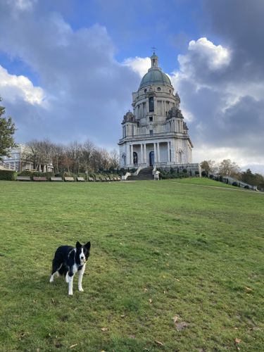 are dogs allowed in williamson park lancaster