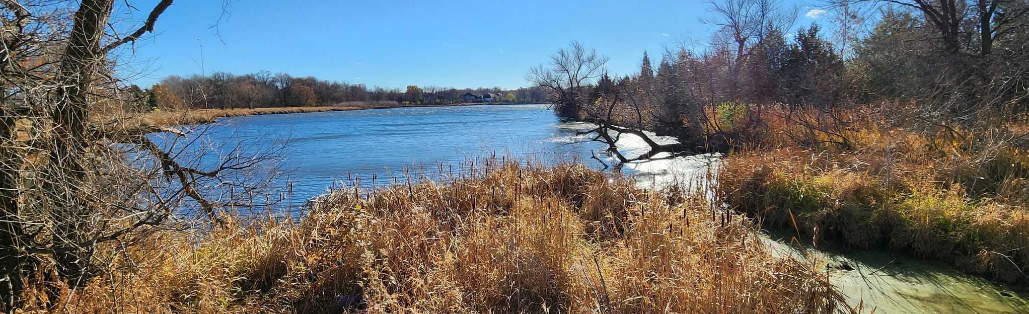 Medicine Lake Regional Trail and Rice Lake Trail Loop 121 Reviews, Map