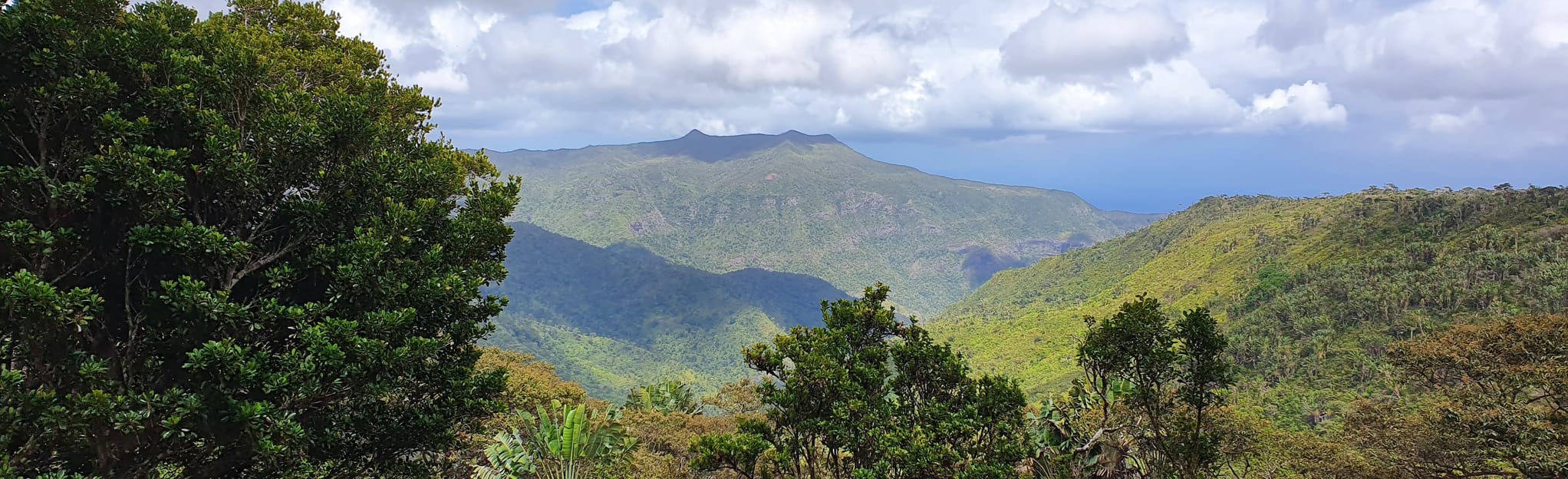 Machabee, Parakeet, Paille En Queue, and Colophanne Trails 61 foto