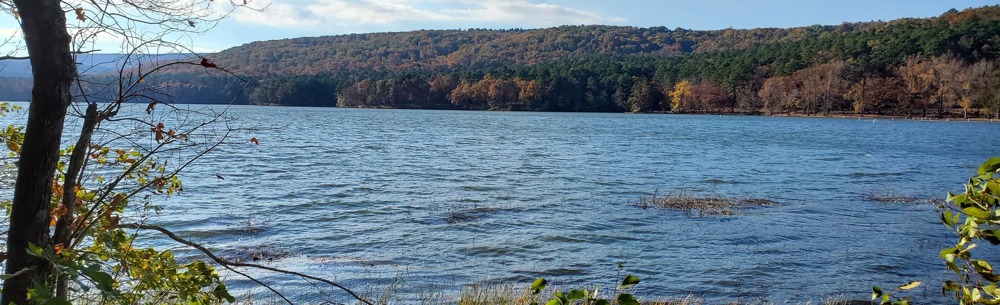 Cove Lake East Trail, Arkansas 32 Reviews, Map AllTrails