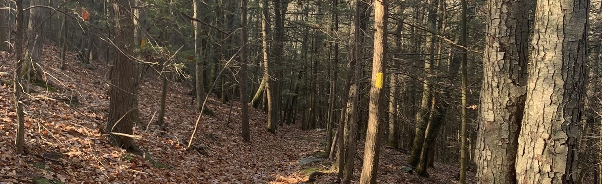 Rocky Hill Trail, Connecticut 33 Reviews, Map AllTrails