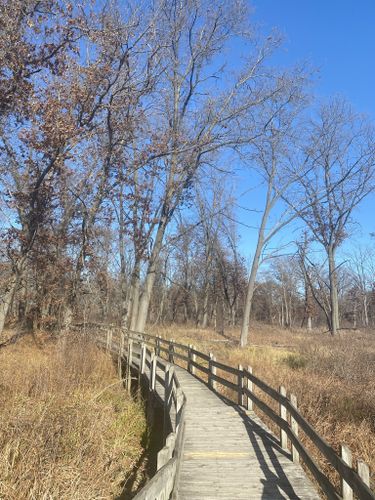 Best Hikes and Trails in Gibson Woods Nature Preserve | AllTrails