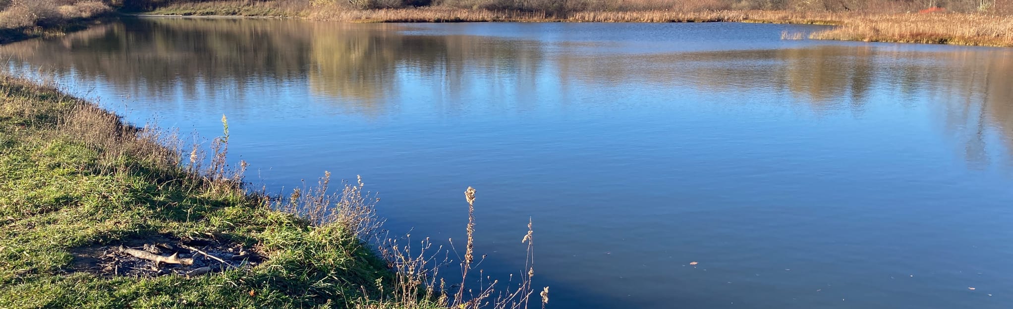 Finger Lakes Backbone Trail 122 Reviews, Map New York AllTrails