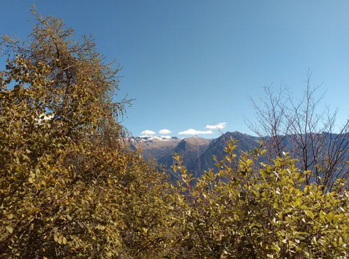 2023 Best Dog Friendly Trails in Ono San Pietro AllTrails