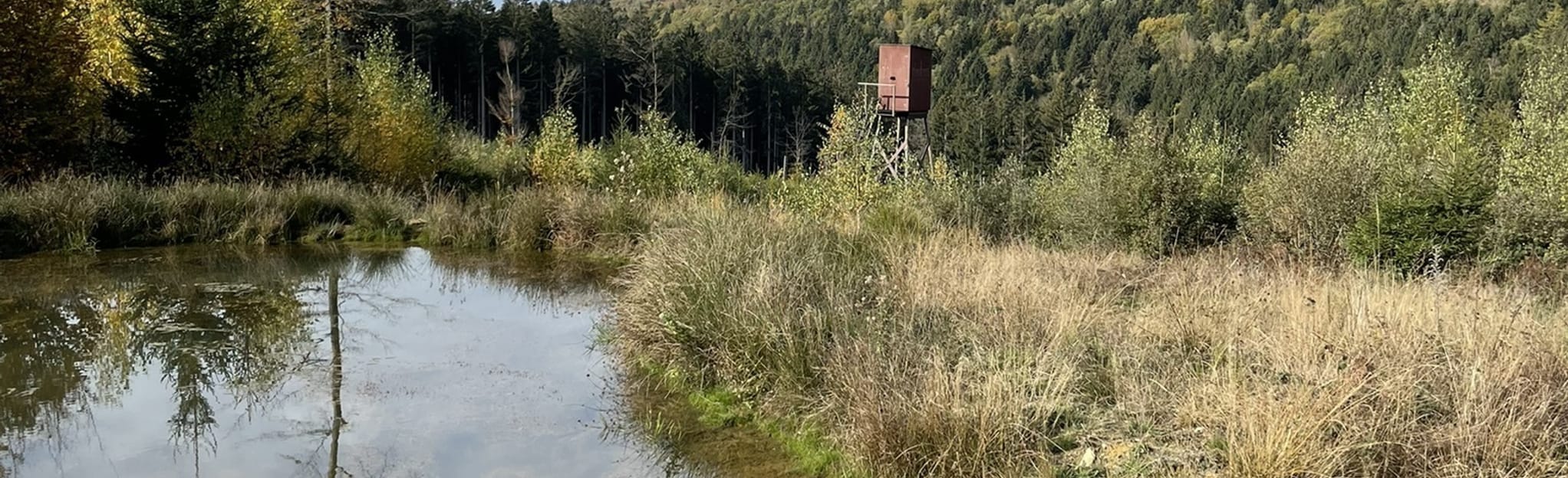 Rund um Chene al Pierre 30 Fotos Provinz Luxemburg, Belgien AllTrails