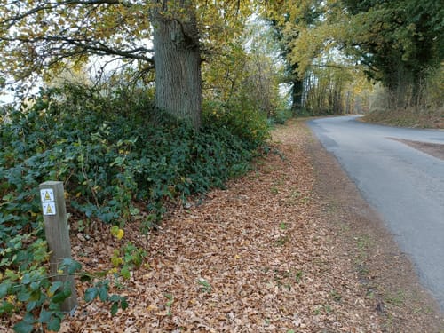 Sattenfelde nach Tremsbüttel
