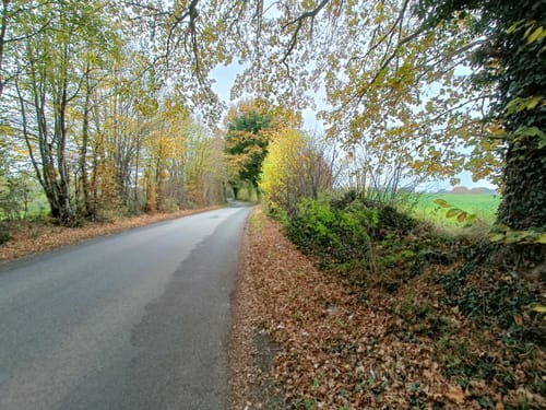 Sattenfelde nach Tremsbüttel