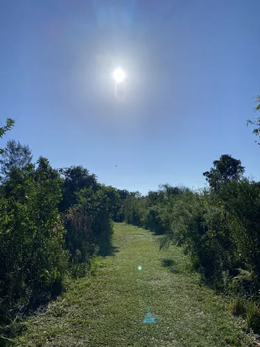 Best Forest Trails in Markham Park | AllTrails