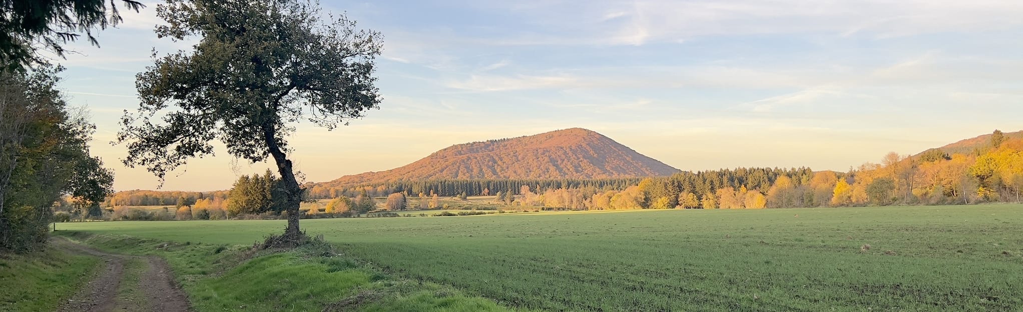 GR®89 Segment 22 From La Font de l'Arbre (Orcines) to SaintOurslesRoches, PuydeDôme