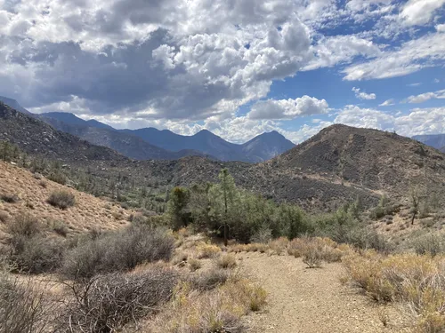 Dog friendly trails sequoia national outlet forest