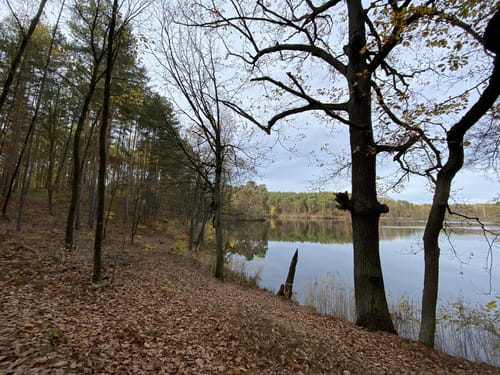 Rundwanderweg Köthener Heideseen