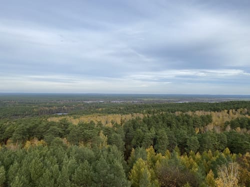 Rundwanderweg Köthener Heideseen