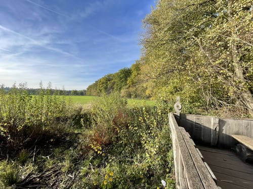 Trailrunning um Godesberg