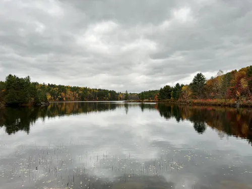 2023 Best Hard Trails in Queen Elizabeth II Woodlands Provincial Park ...