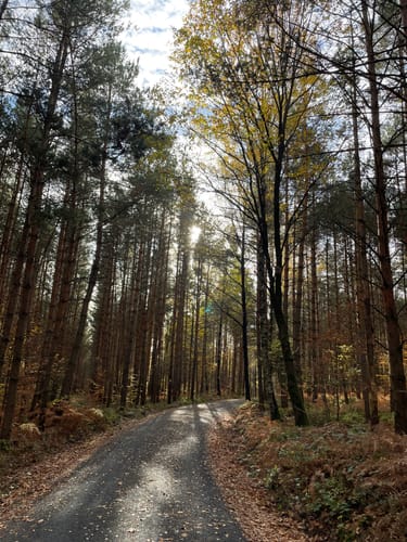 Eisenberger Mühltal Rundweg