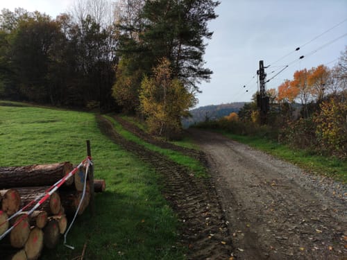 Heigenbrücken - Glücksweg - Grimmenwiesensee