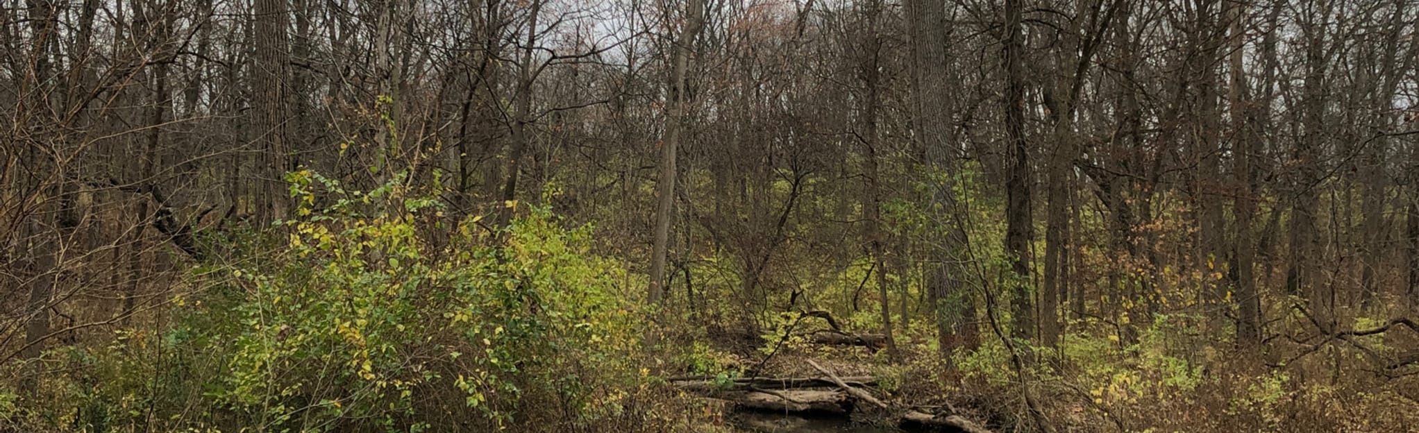 Sag Valley Loop From Palos Park Woods 1155 Reviews, Map Illinois