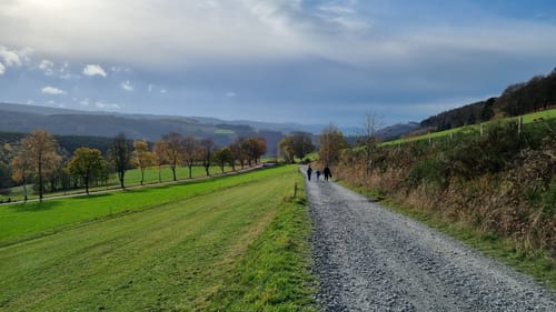 Schwedensteig - Heidenstraße (Premiumwanderweg)