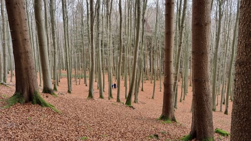 Schwedensteig - Heidenstraße (Premiumwanderweg)