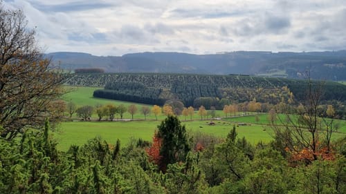 Schwedensteig - Heidenstraße (Premiumwanderweg)
