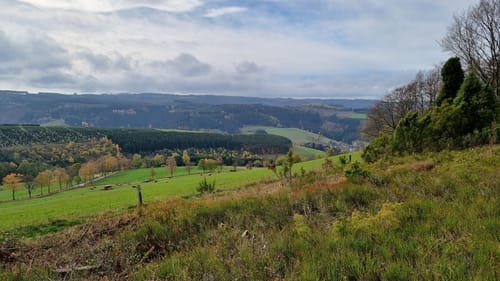 Schwedensteig - Heidenstraße (Premiumwanderweg)