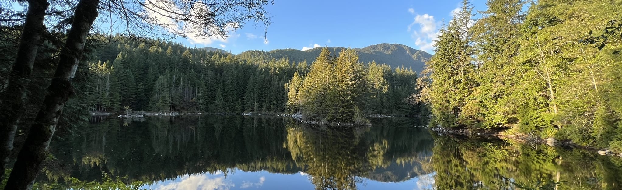 Rice Lake Loop, British Columbia, Canada 818 Reviews, Map AllTrails