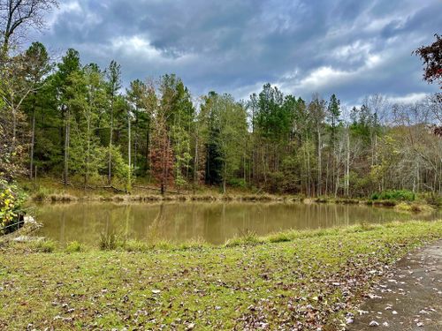 2023 Best 10 Trails and Hikes in Spartanburg | AllTrails