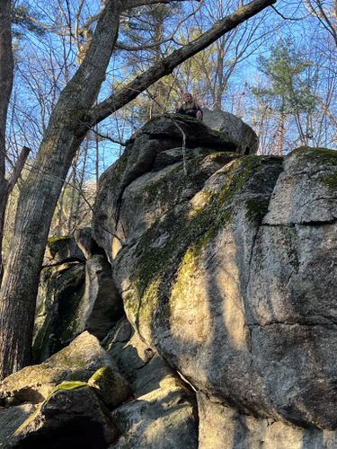 are dogs allowed at rock house reservation