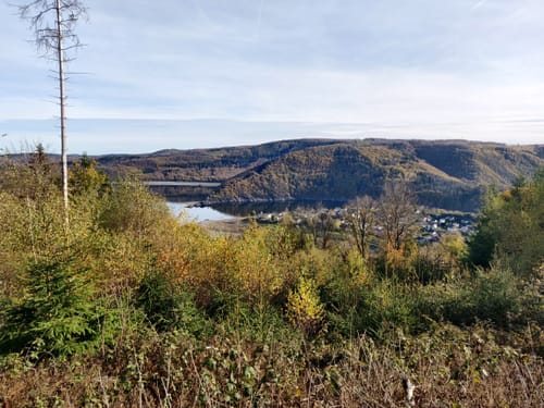 Woffelsbach und Steckenborn
