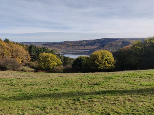 Woffelsbach und Steckenborn