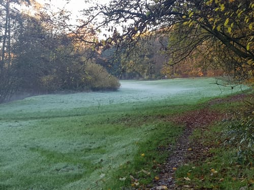 Waldlehrpfad am Beuerbacher See