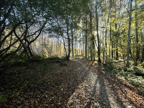 Eichlinghofen Rundweg A2