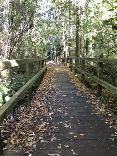Pesch Rundweg A7