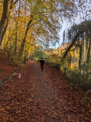 Durch den Volkspark Rehberge
