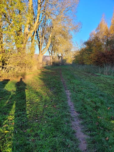 Am Weserbogen