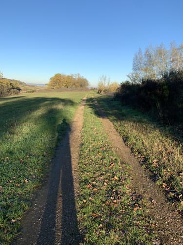 Rundwanderweg Frei-Laubersheim 22