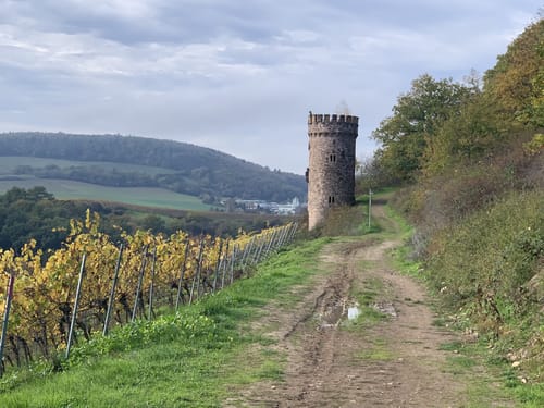 Heideblick (Hiwweltour)
