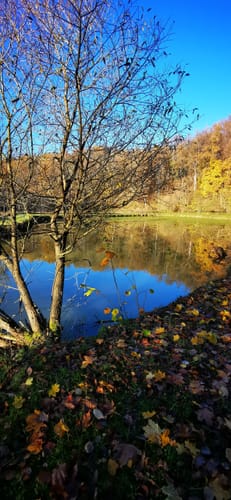 Aktiv-Park Roter Trail