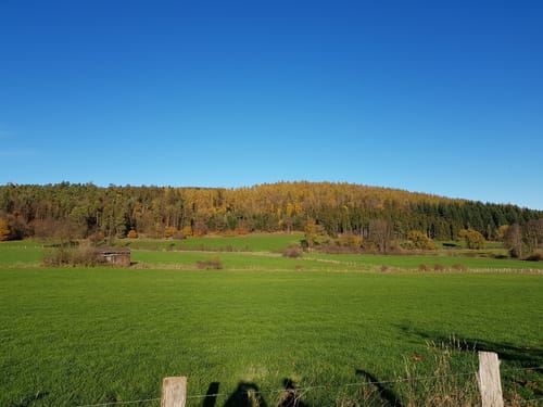 Kuckucksuhlenweg (M3) Medebach