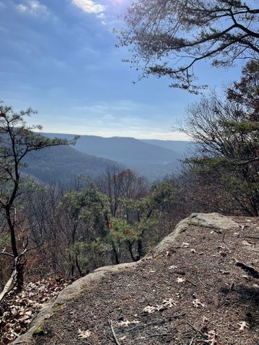 are dogs allowed at south cumberland state park