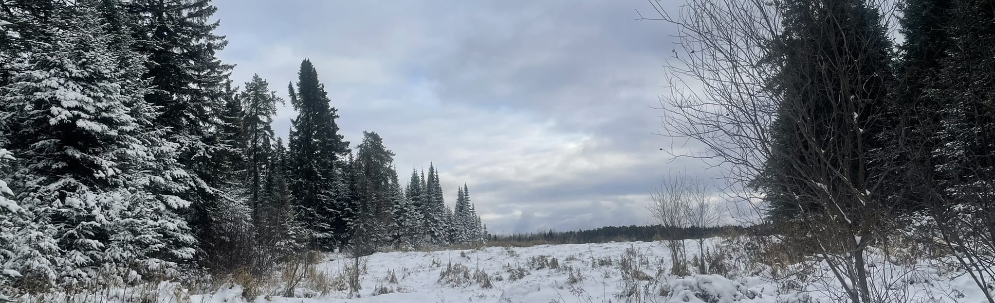 Thunder Lake MountainBike, Ontario, Canada 2 Reviews, Map AllTrails