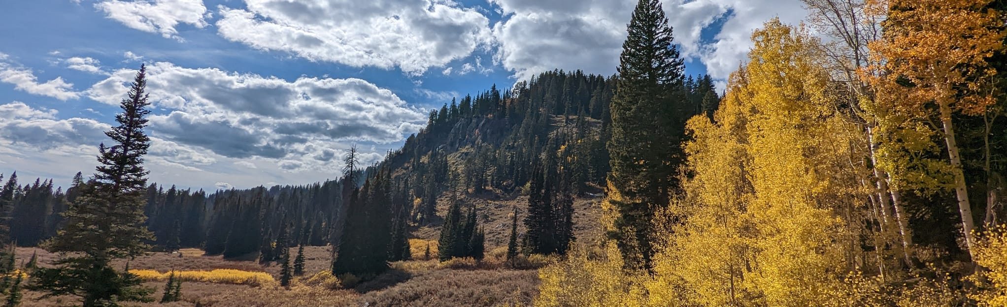 Ski Lake Trail, Wyoming - 1,133 Reviews, Map | AllTrails