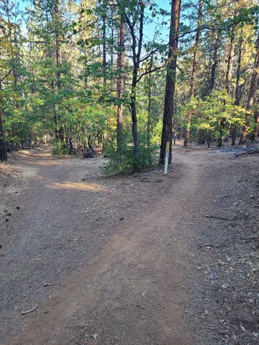 2023 Best Walking Trails In Yreka Alltrails