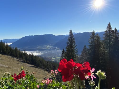 3-Gipfel-Tour: Zennokopf - Zwiesel - Gamsknogel
