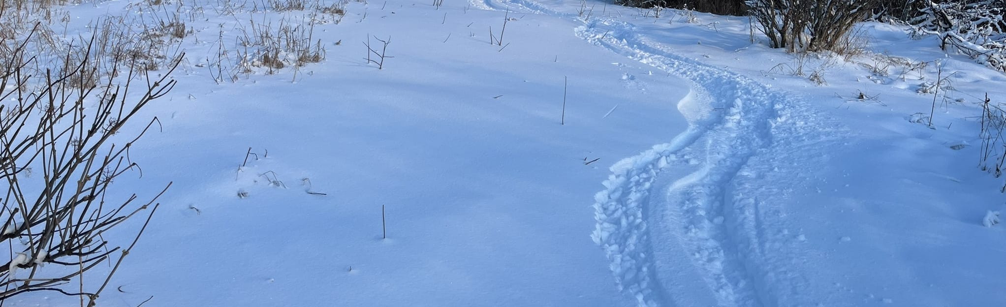 Alder Trail 14 Reviews, Map Alaska AllTrails